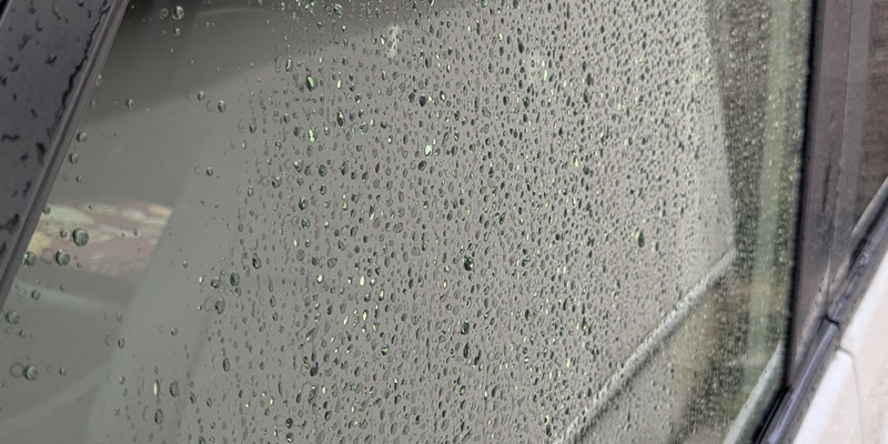 水をかけるとウロコにそって水が残ってしまう